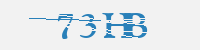 보안문자